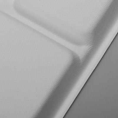 Bagasse Biodegradable Food Trays