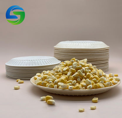 6'' 11g Picnic 100% Biodegradable Cornstarch Trays