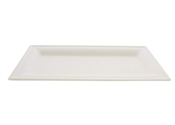 10x5 Inch Oilproof Biodegradable Sugarcane Bagasse Plates