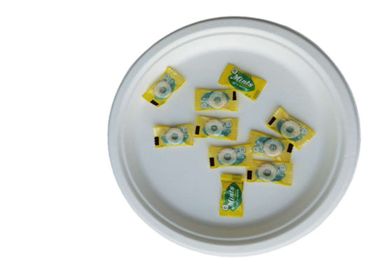 10 Inch  Round Compostable Bagasse Disposable Plates