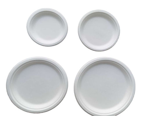 10 Inch  Round Compostable Bagasse Disposable Plates