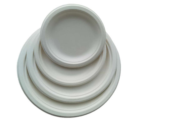 10 Inch  Round Compostable Bagasse Disposable Plates