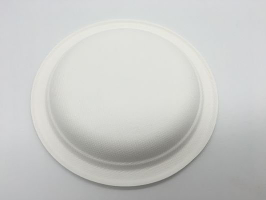 Waterproof 12 Inch Tableware Sugarcane Pulp Plates