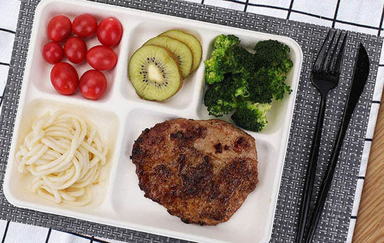 Bagasse Biodegradable Food Trays